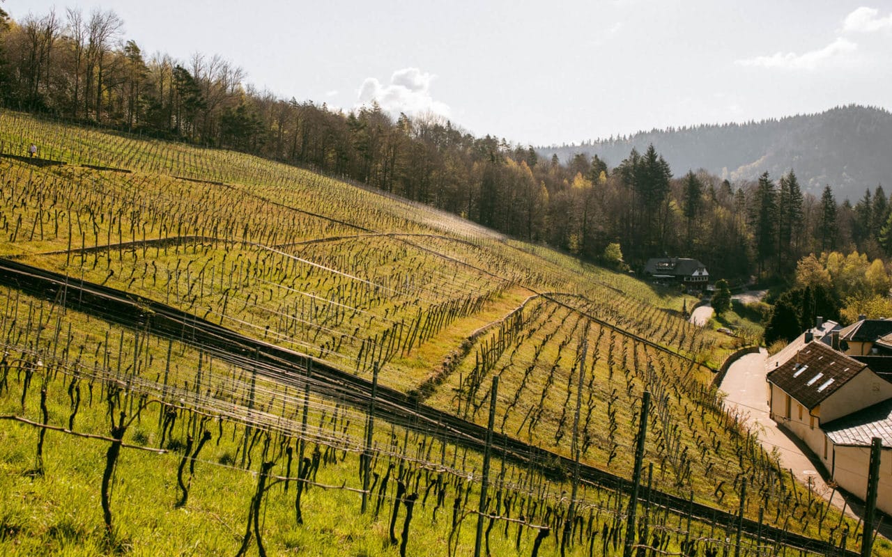 Weingut Kopp Ebenung